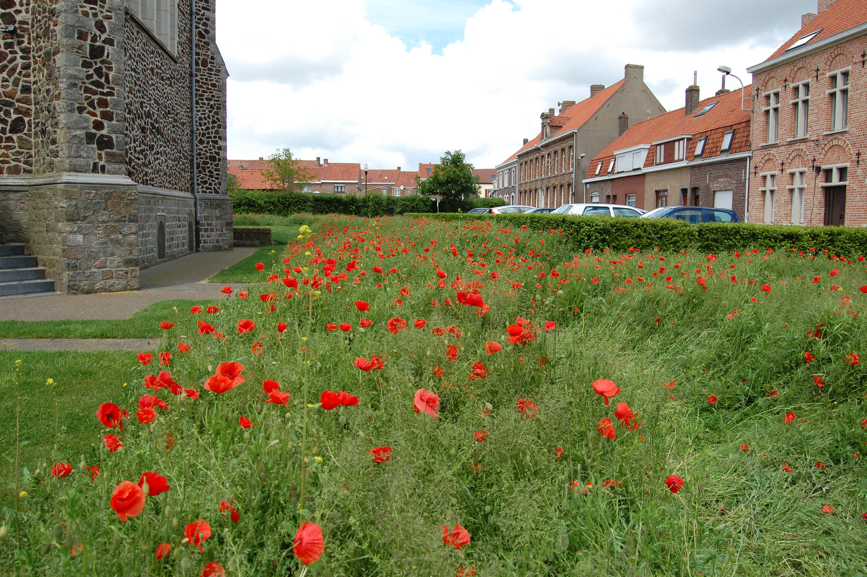 Flanders_3/DSC_0061.JPG