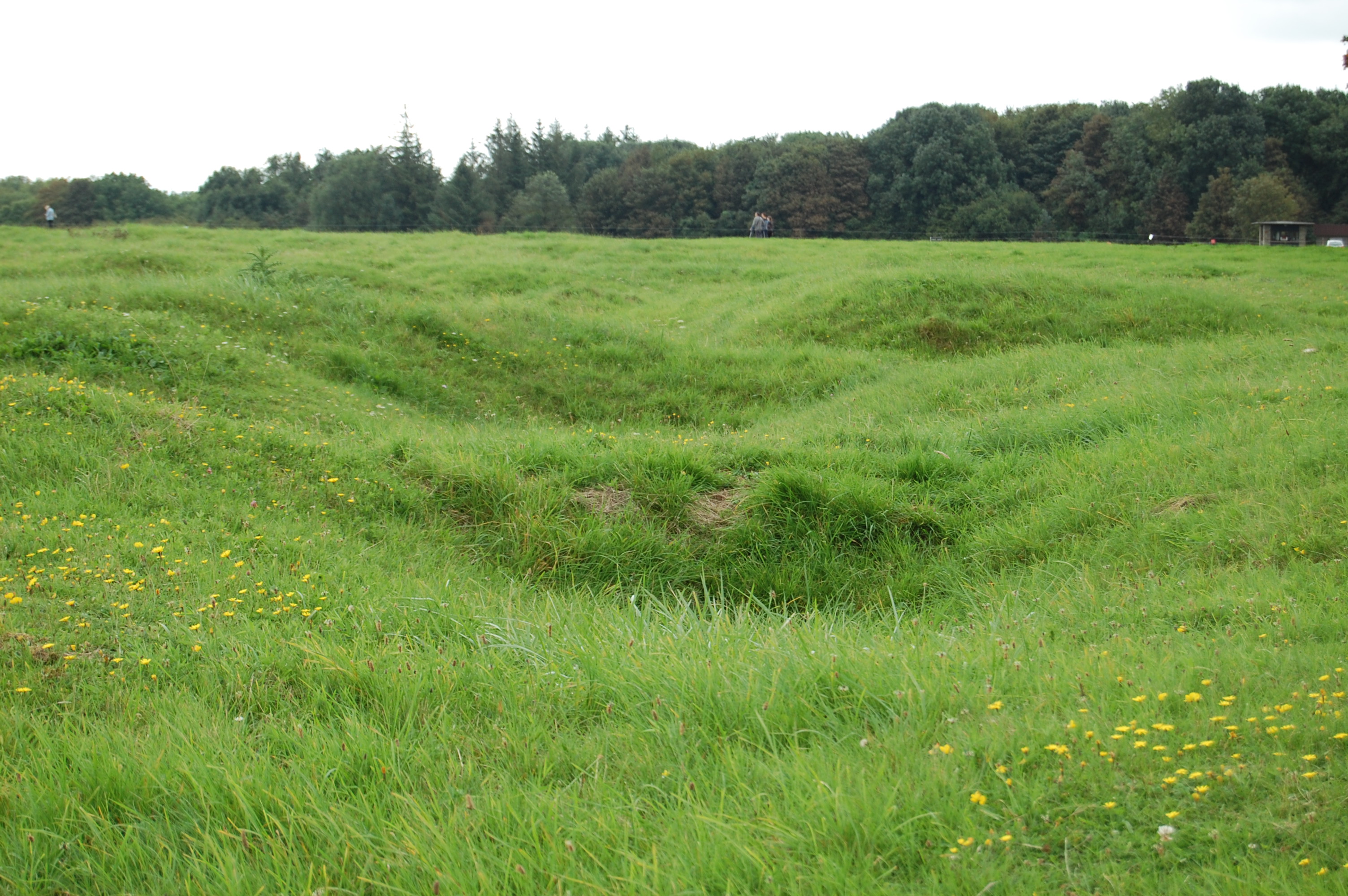 Vimy_Ridge_1/DSC_0101.JPG