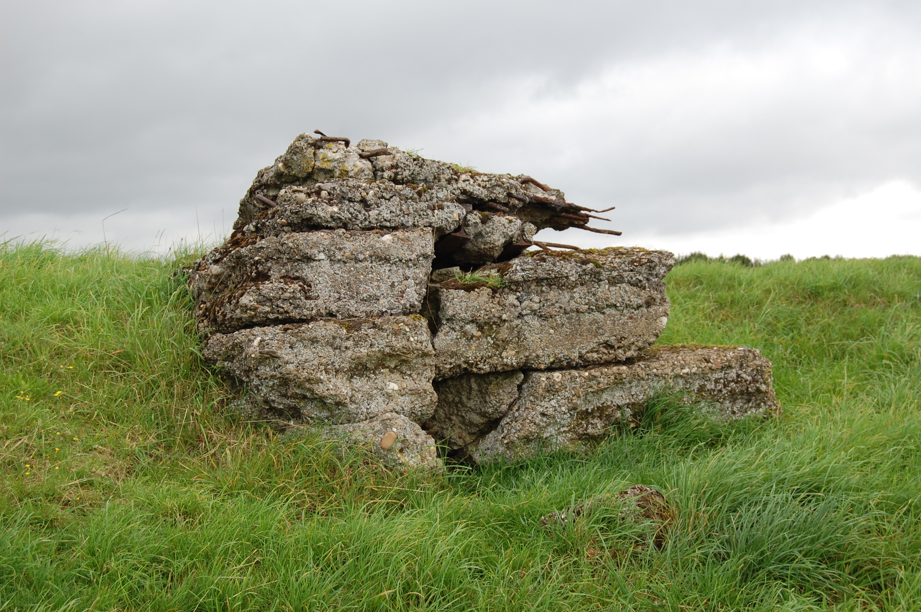 Vimy_Ridge_1/DSC_0105.JPG