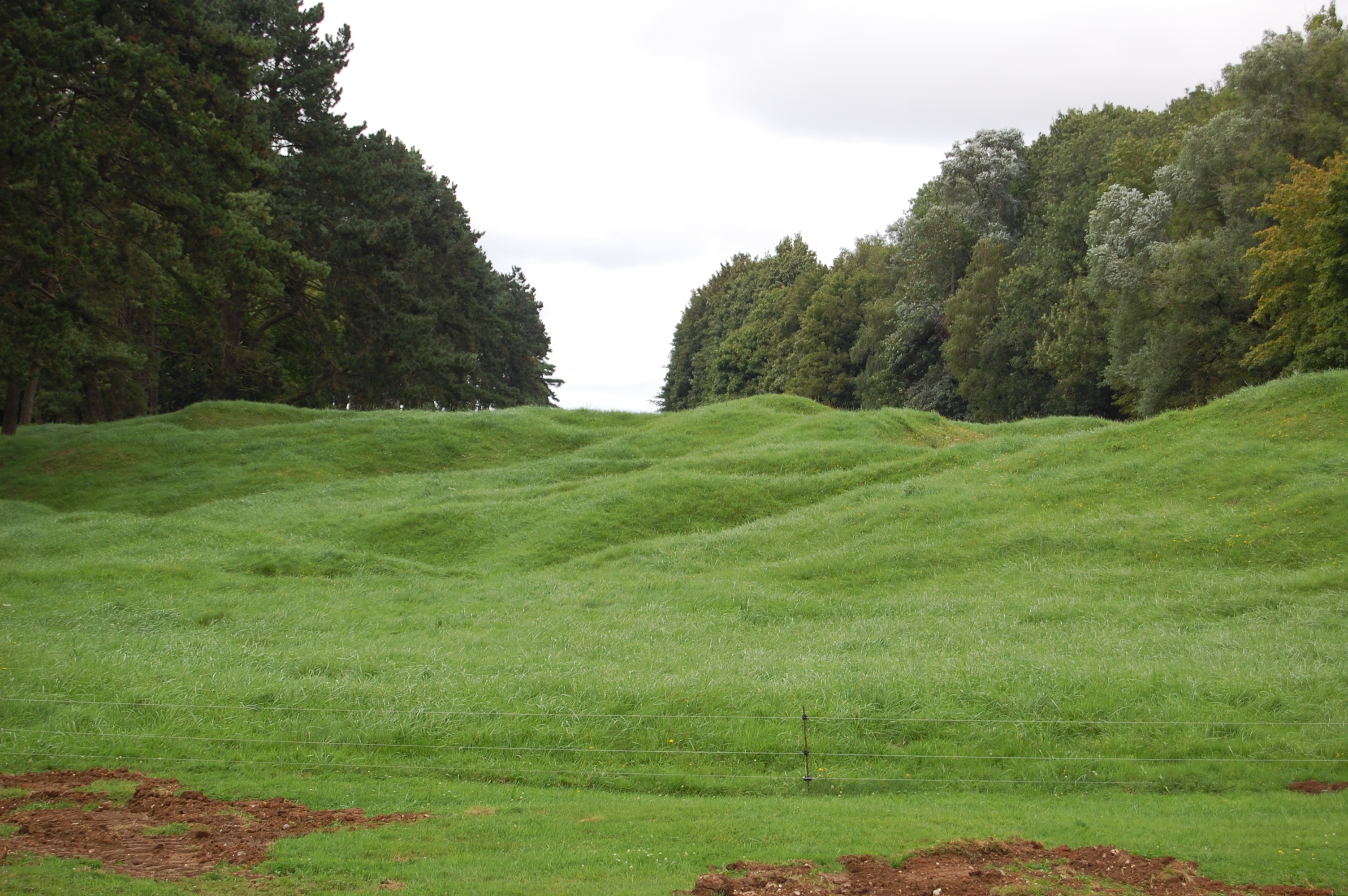 Vimy_Ridge_1/DSC_0130.JPG