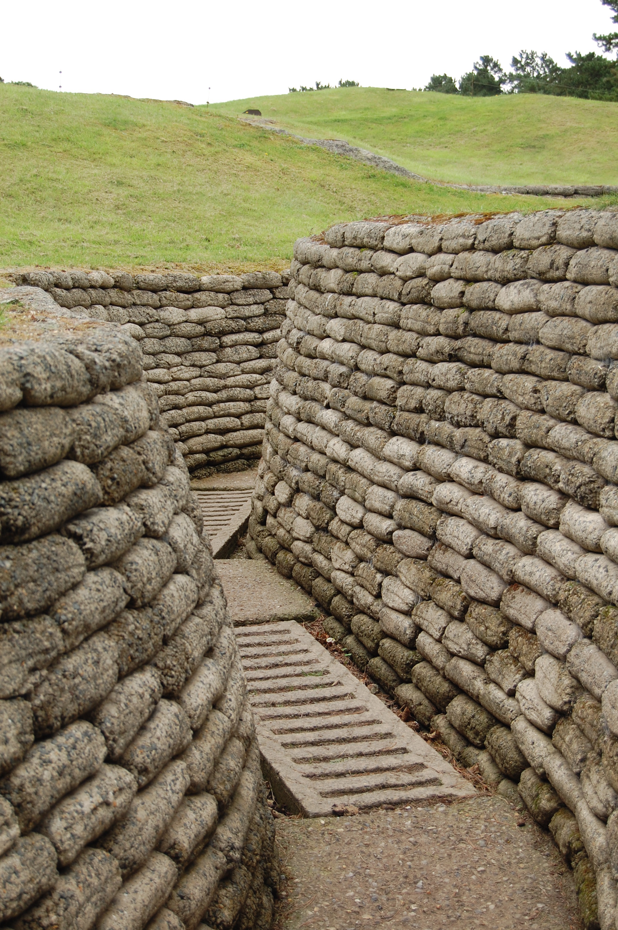 Vimy_Ridge_2/DSC_0133.JPG