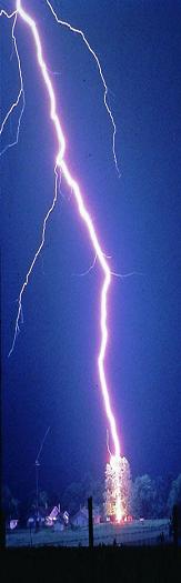lightening_tree2.jpg